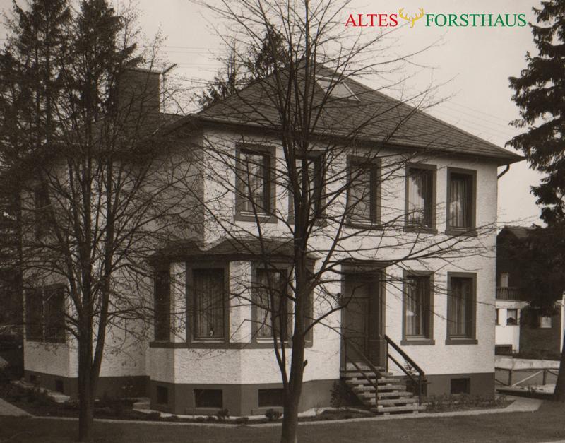 Altes Forsthaus Bed & Breakfast Manderscheid Bagian luar foto